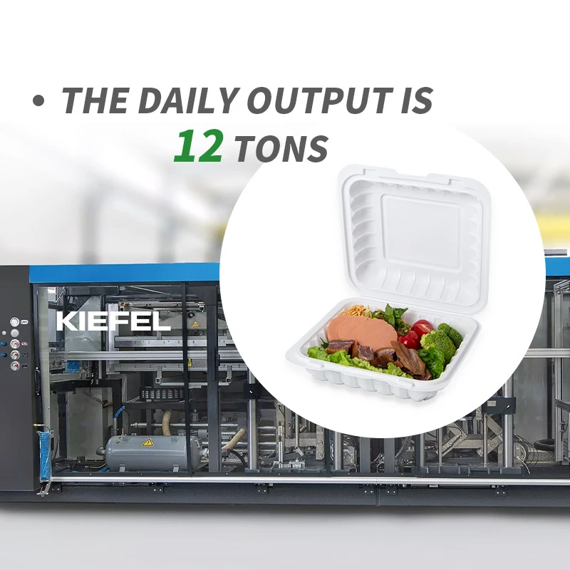 product-800-800