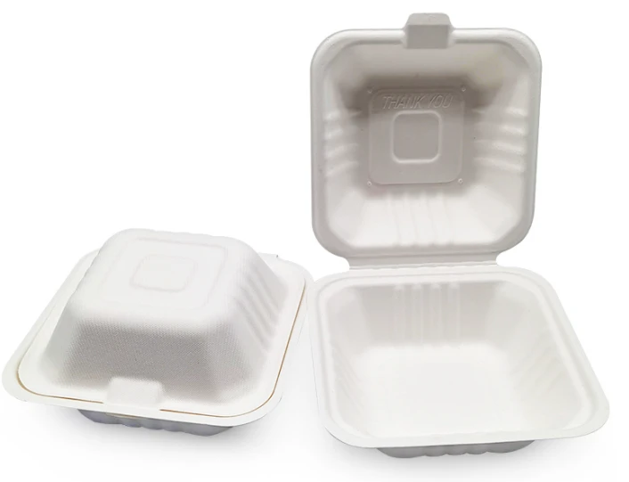 biodegradable lunch containers biodegradable lunch containers