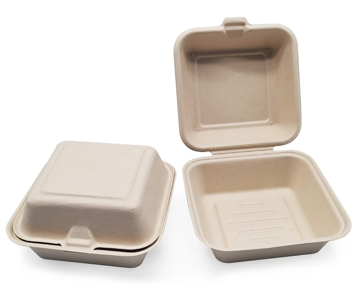 disposable lunch boxes