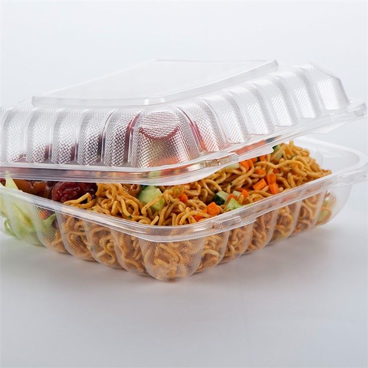 8x8 Clear Hinged Container