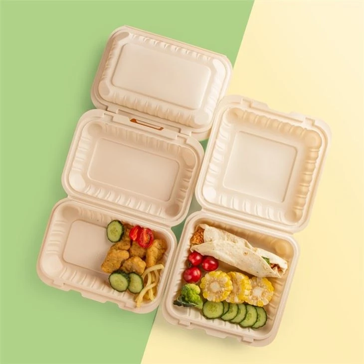 Microwave Lunch Box