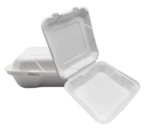 8'' Bagasse To Go 식품 용기