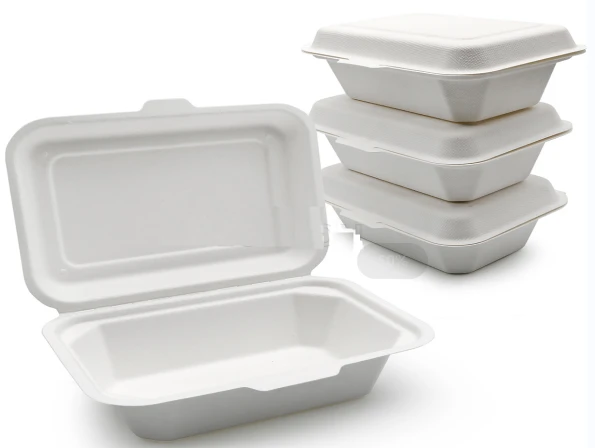 Bagasse To Go 뚜껑이 있는 용기
