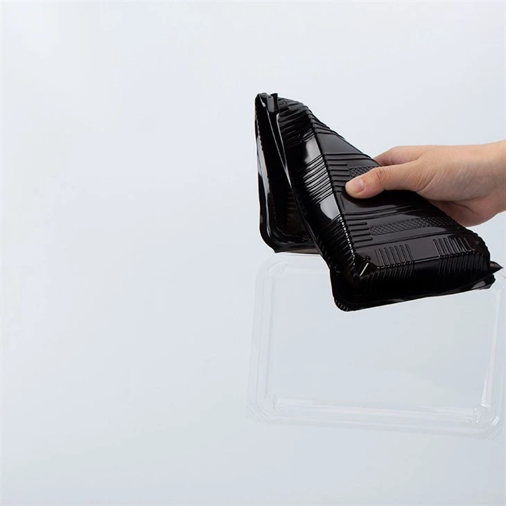Disposable Food Packaging Containers