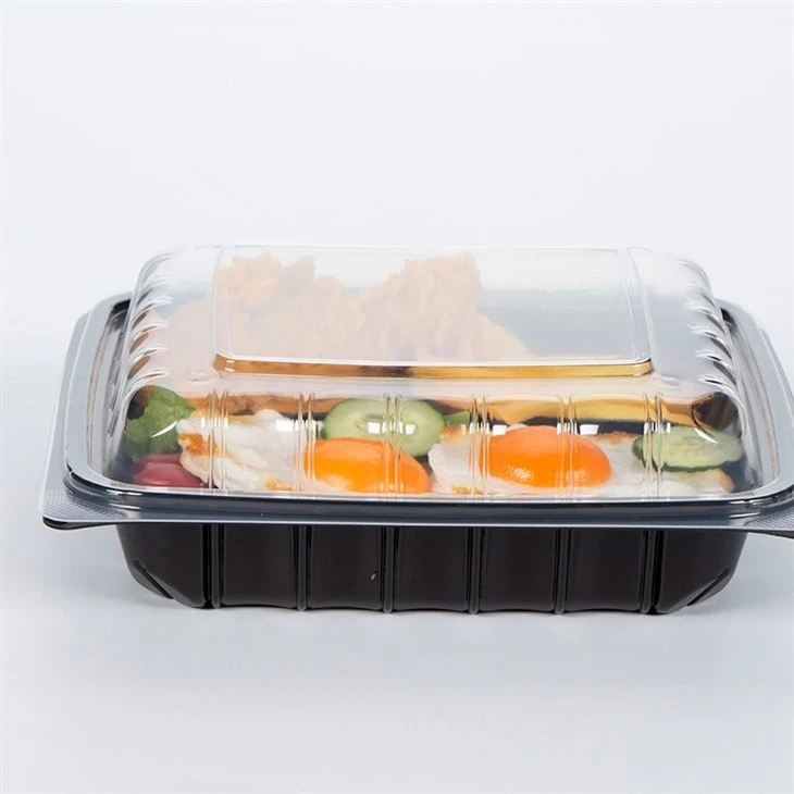 Disposable Food Packaging Containers