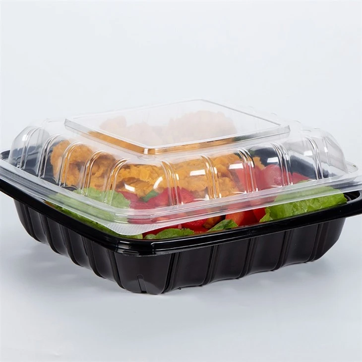 Disposable Food Packaging Containers