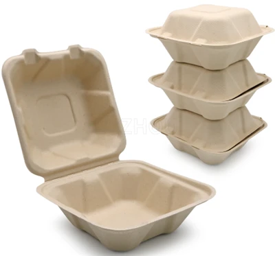 Bagasse 식품 용기 이동
