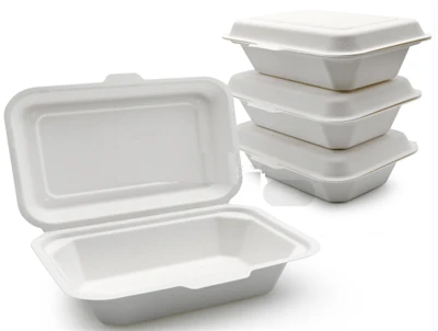 Bagasse To Go 뚜껑이 있는 용기