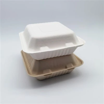 생분해성 사탕수수 사탕수수 섬유질 펄프 종이 테이크아웃 용기