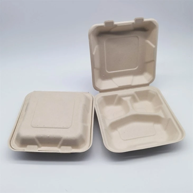 사탕수수 사탕수수 식품 용기 9''x9''