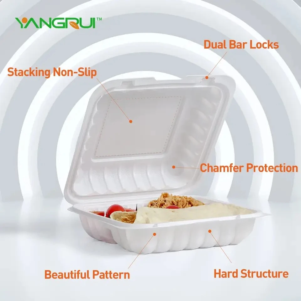 3 Compartment Hinged Lid Container