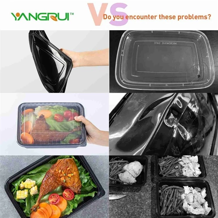 Bento Togo Box best