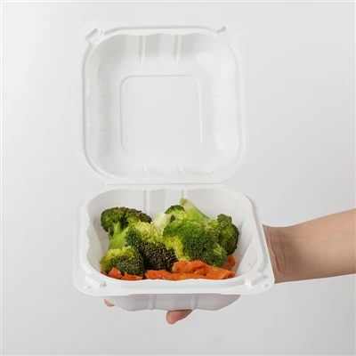 Plastic Togo Boxes