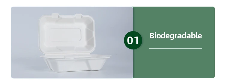china disposable lunch box factory