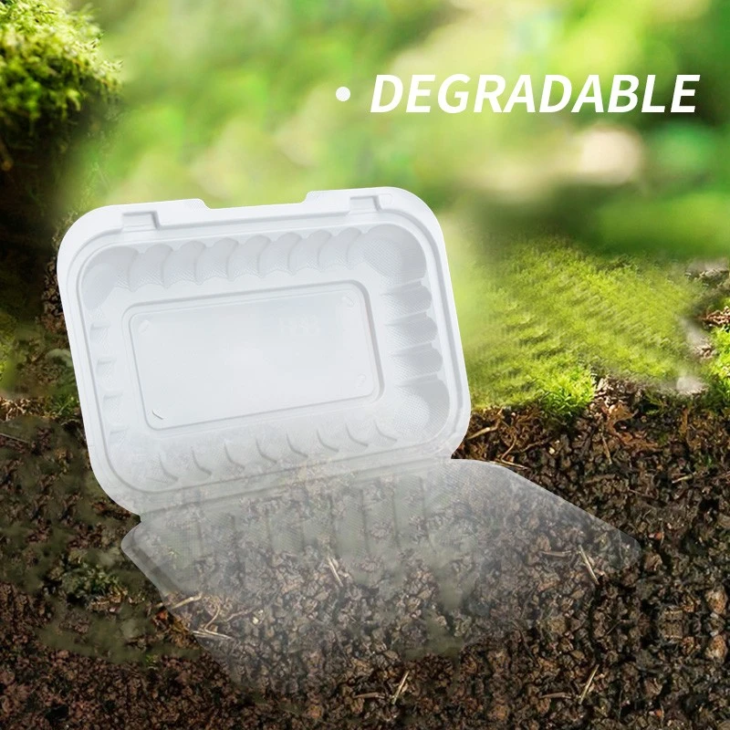 Togo Container best